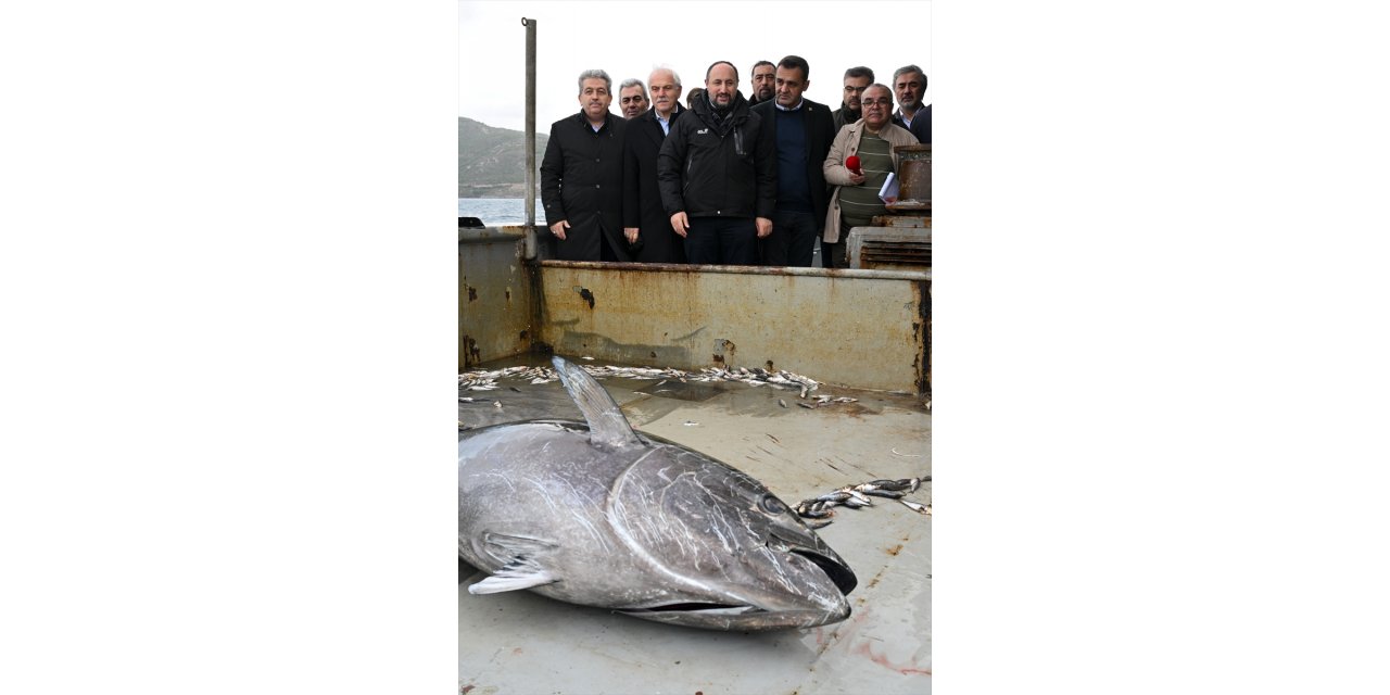 TBMM Balıkçılık ve Su Ürünleri Araştırma Komisyonu üyeleri, İzmir'de orkinos çiftliğini inceledi