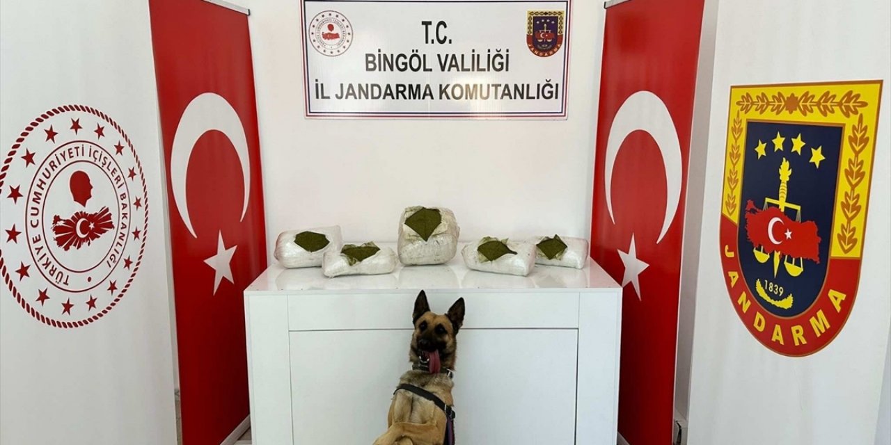 Bingöl'de 13 kilo 500 gram esrar ele geçirildi