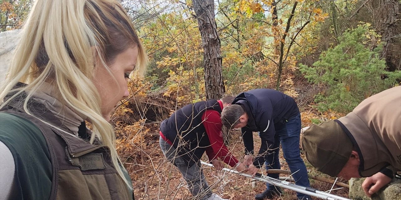 Çanakkale'de kuyuya düşen porsuk Doğa Koruma ekibince kurtarıldı