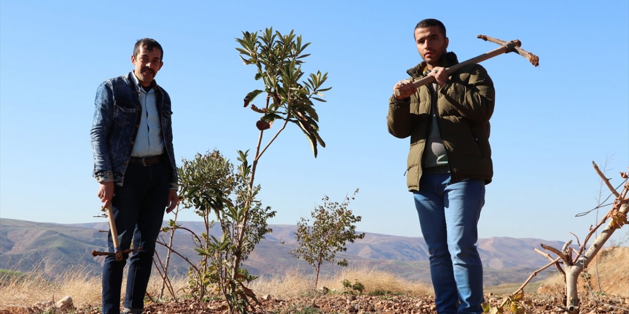 Siirt'te atıl arazi özel bireyler için hobi bahçesine dönüştürüldü