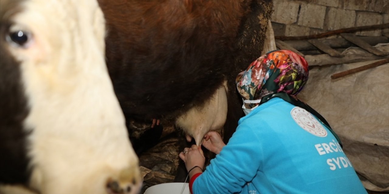 Erciş'te "Vefa" ekibi, yardım isteyen yaşlı çiftin ineğini sağdı