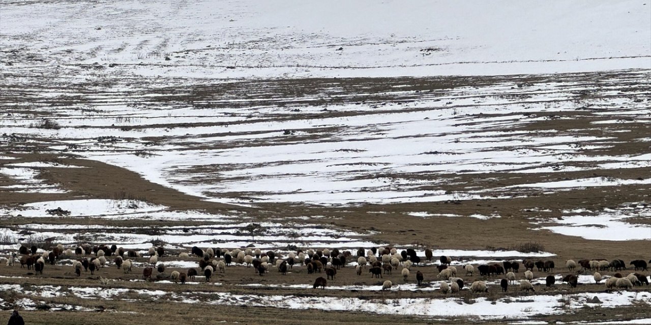 Kars ve Ardahan'da kar etkili oldu