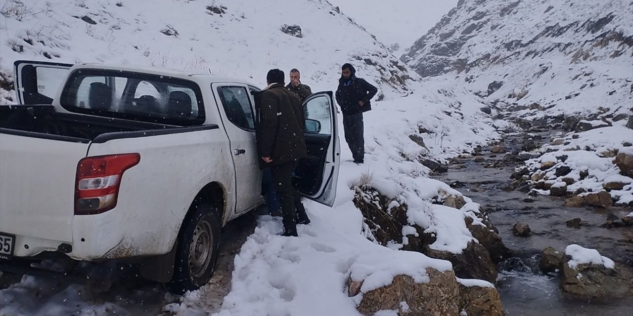 Hakkari'de yaralı at mahsur kaldığı yaylada ekiplerce kurtarıldı