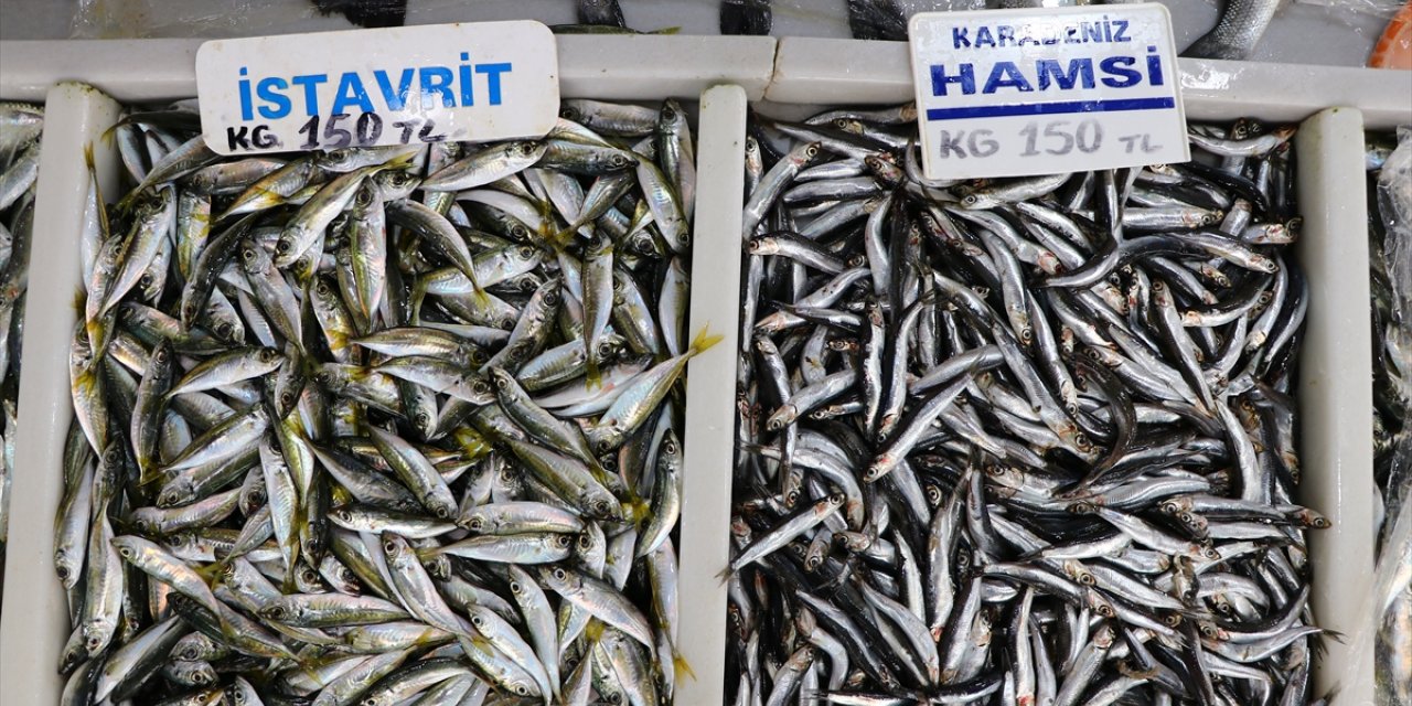 Balıkçılar limana büyük balıktan çok hamsi ve istavritle dönüyor