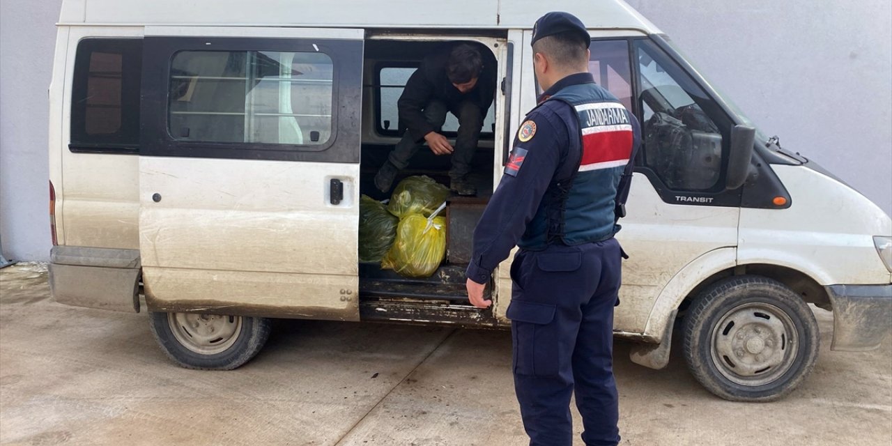 Sinop'ta 11 düzensiz göçmen yakalandı