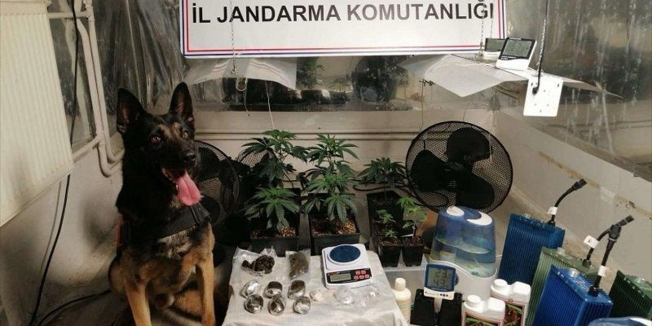 Ankara'da jandarma ekipleri kaçakçılık ve uyuşturucu operasyonları düzenledi