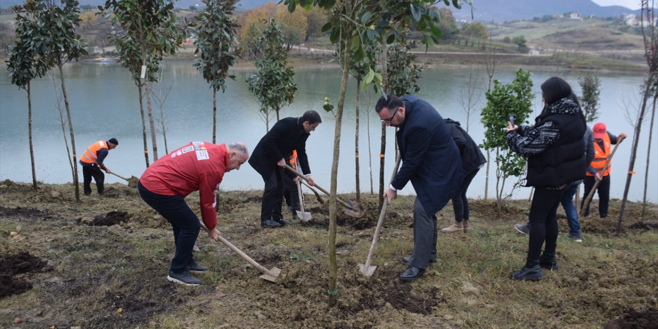 TİKA, Arnavutluk'ta fidan dikti