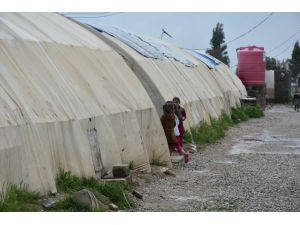 Telaferli Türkmenler Irak'a dönmeye devam ediyor