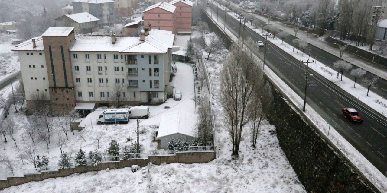 Muş ve Bitlis'te kar yağışı etkili oldu