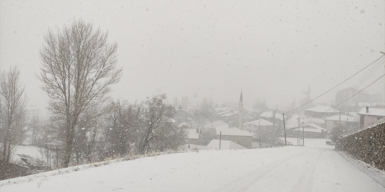 Bingöl'de kar yağışı etkili oldu