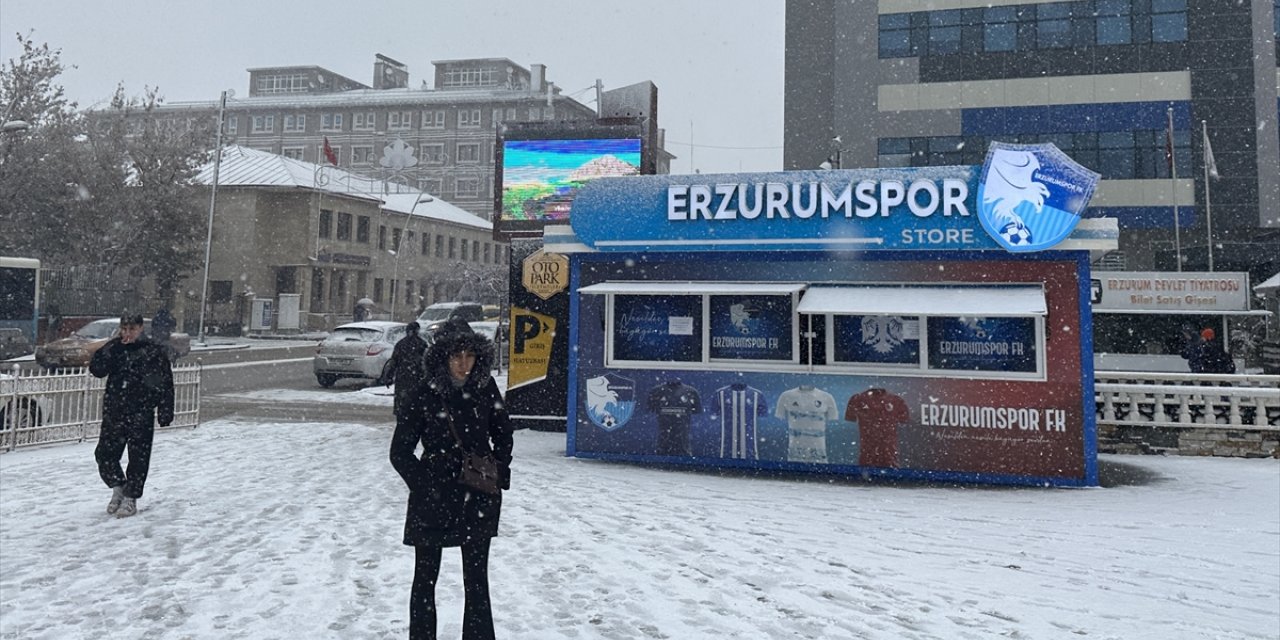 Erzurum ve Ardahan'da kar yağışı etkili oluyor