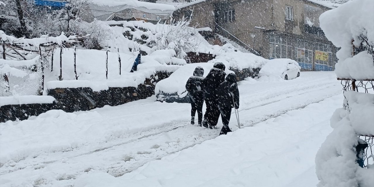 Şırnak'ta kar, sağanak ve sis hayatı olumsuz etkiledi