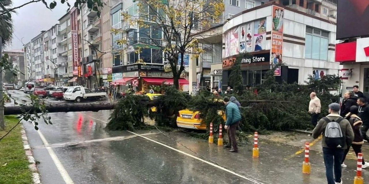 Rize'de şiddetli rüzgarın devirdiği ağaç 2 taksiye zarar verdi