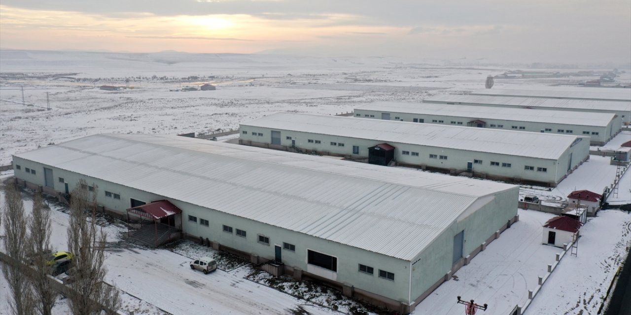 Ağrı'da tasarlanarak üretilen çantalar yurt dışında alıcı buluyor