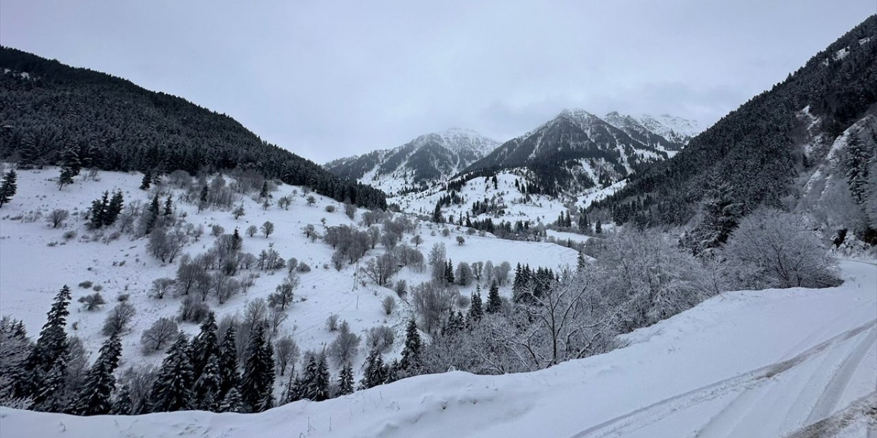 Artvin ve Gümüşhane'de kar etkili oluyor