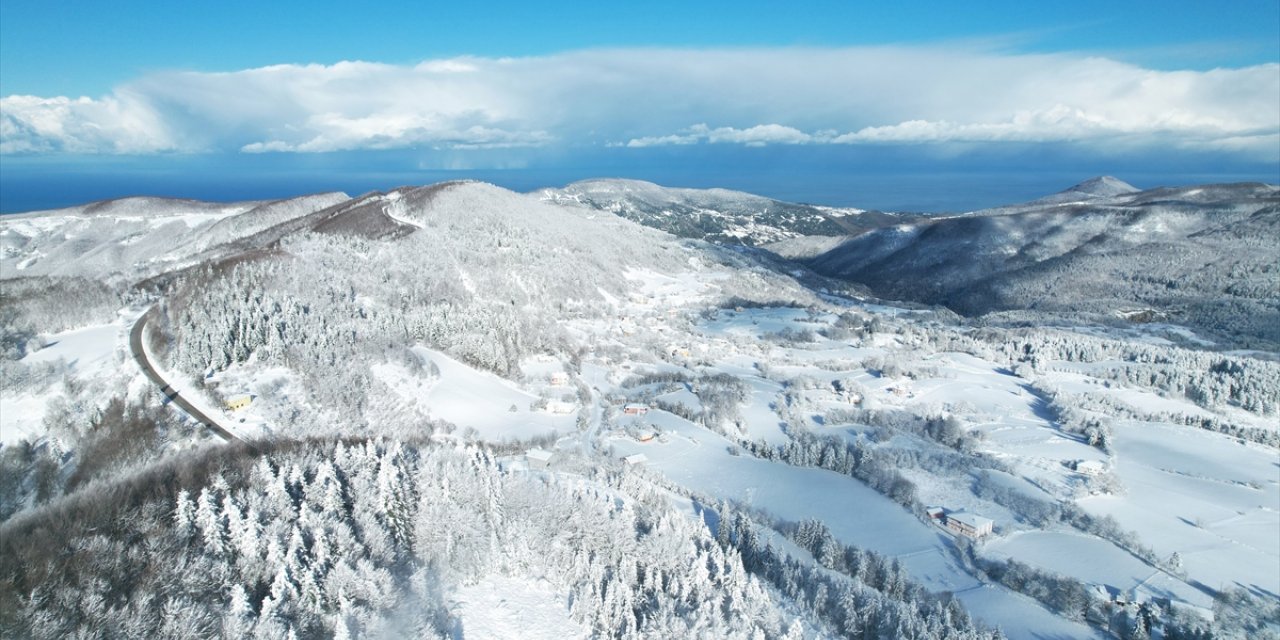 Kastamonu'da ormanlar beyaz örtüyle kaplandı