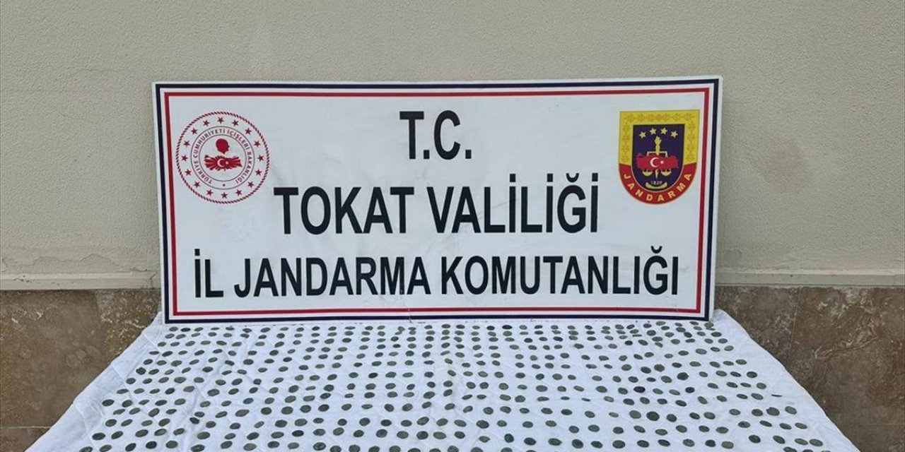 Tokat'ta tarihi eser niteliğinde olduğu değerlendirilen 620 sikke ele geçirildi