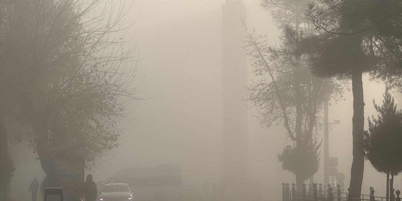 Siirt'te sis etkisini artırdı