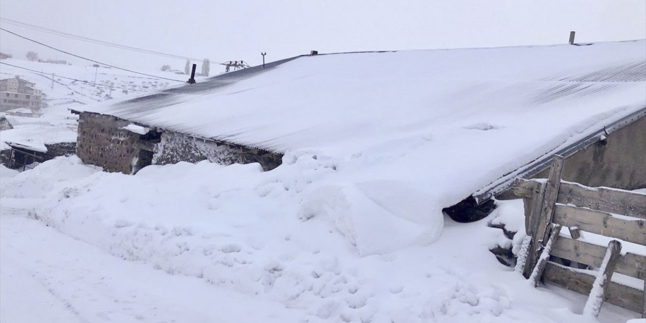 Erzurum, Ardahan ile Kars'ta soğuk hava etkili oluyor