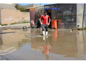 Kerkük'te nehir taştı iki mahalle sular altında kaldı
