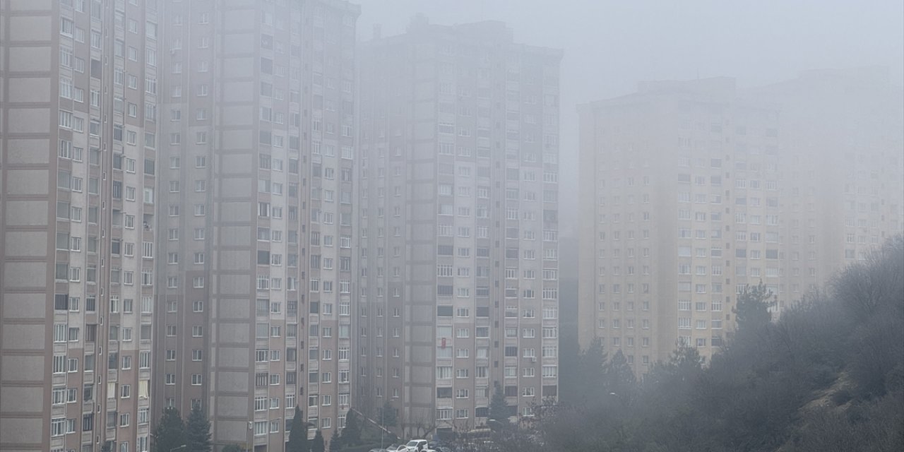 Düzce ve Karabük'te sis etkili oldu