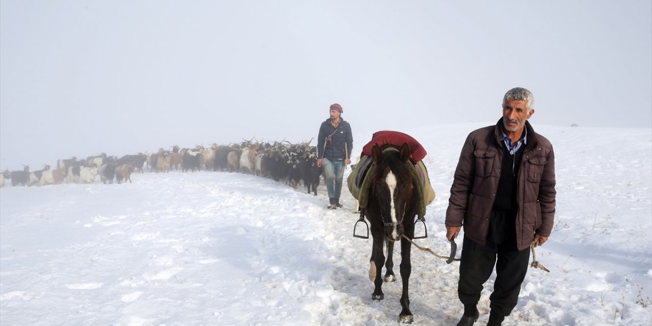 Muş'ta besiciler karlı yolları aşarak küçükbaş hayvan sürülerini köye ulaştırdı