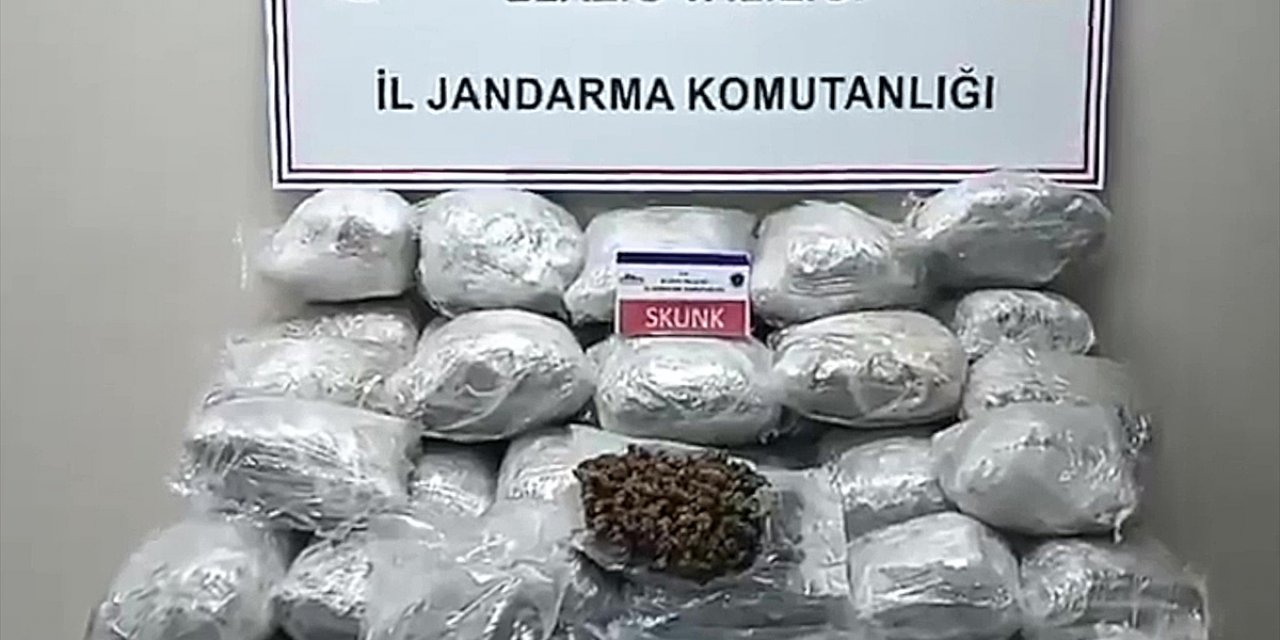 Elazığ'da tırın dorsesine gizlenmiş 138 kilogram skunk bulundu