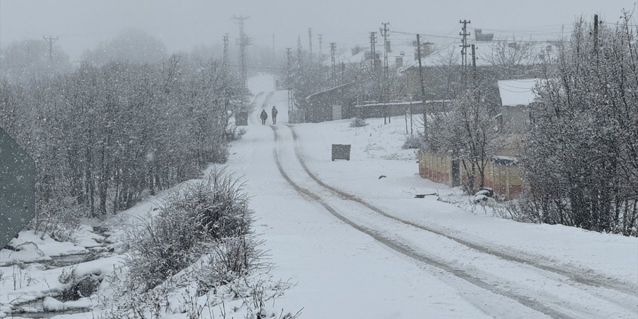 Bingöl-Elazığ kara yolunda kar ve sis etkili oldu