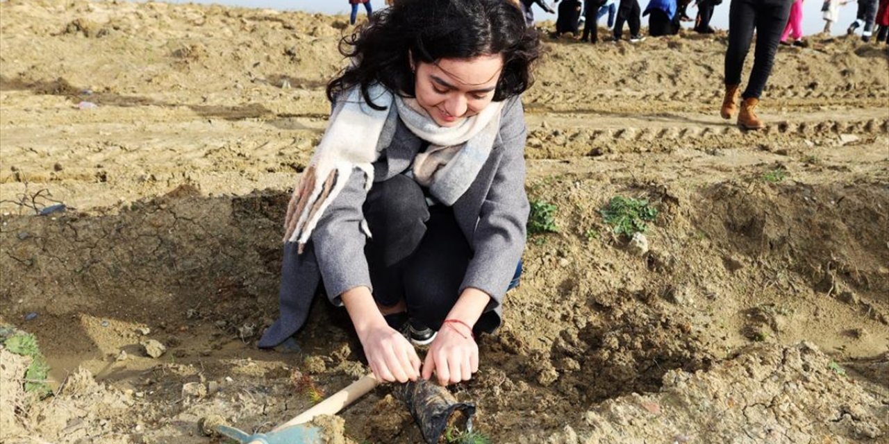 Bizim Dünyamız Vakfı, Arnavutköy'de yüzlerce fidanı toprakla buluşturdu