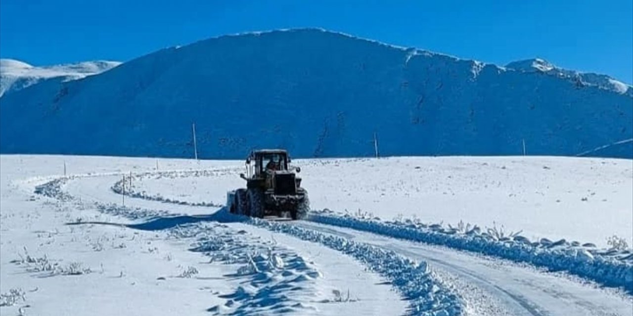 Van, Hakkari, Bitlis ve Muş'ta kar nedeniyle 80 yerleşim birimine ulaşım sağlanamıyor