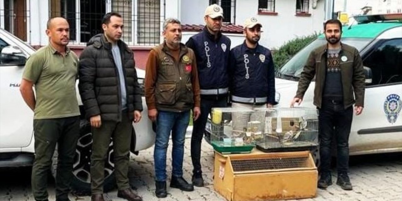 Osmaniye'de istilacı kuş satışı yapan iş yerinin sahibine para cezası