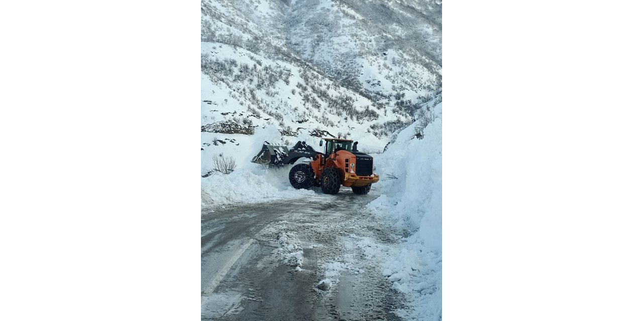 Çığ nedeniyle kapanan Yüksekova-Şemdinli kara yolu açıldı