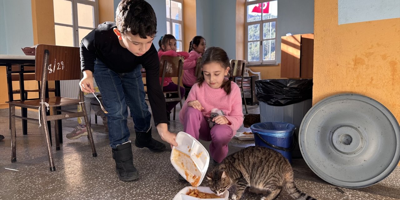 Öğrenciler köy okulundaki "Aşure" adlı kedinin yanından ayrılmıyor