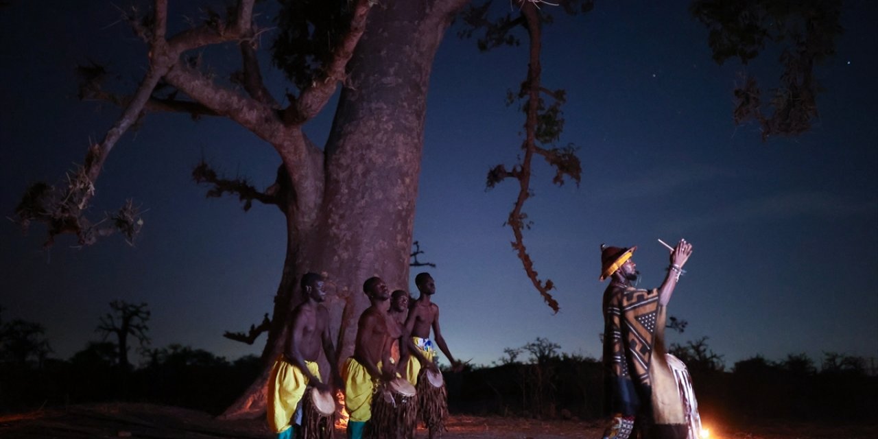 Senegal'de baobab ormanındaki geleneksel gösteriler ülke kültüründen renkli kesitler sunuyor