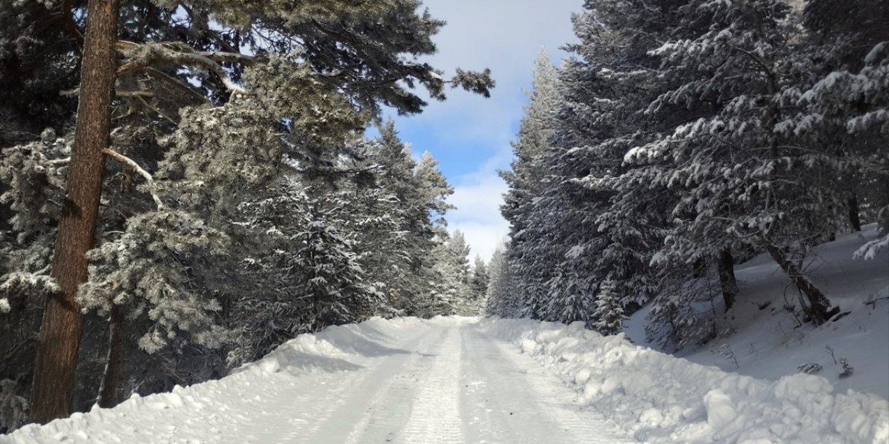 Kar kalınlığının 1,5 metreye ulaştığı Kars'taki köylerde yol açma çalışmaları sürüyor