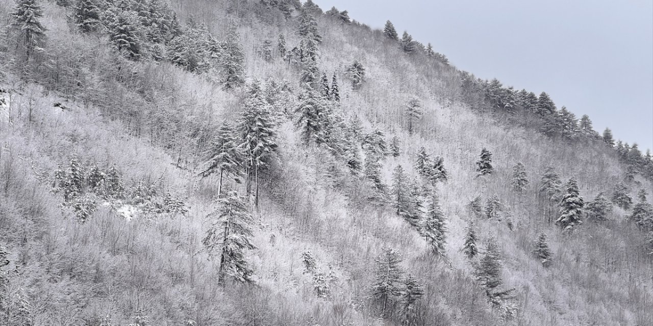 Kastamonu'da ormanlar beyaz örtüyle kaplandı