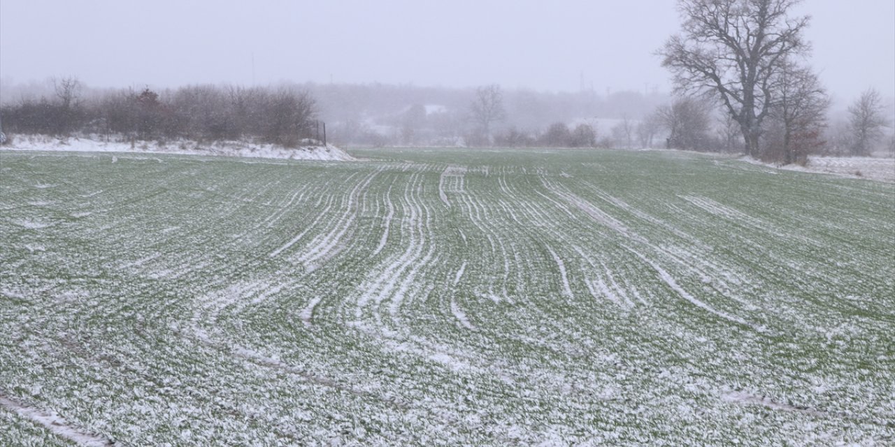 Edirne'de kar buğday üreticilerini sevindirdi