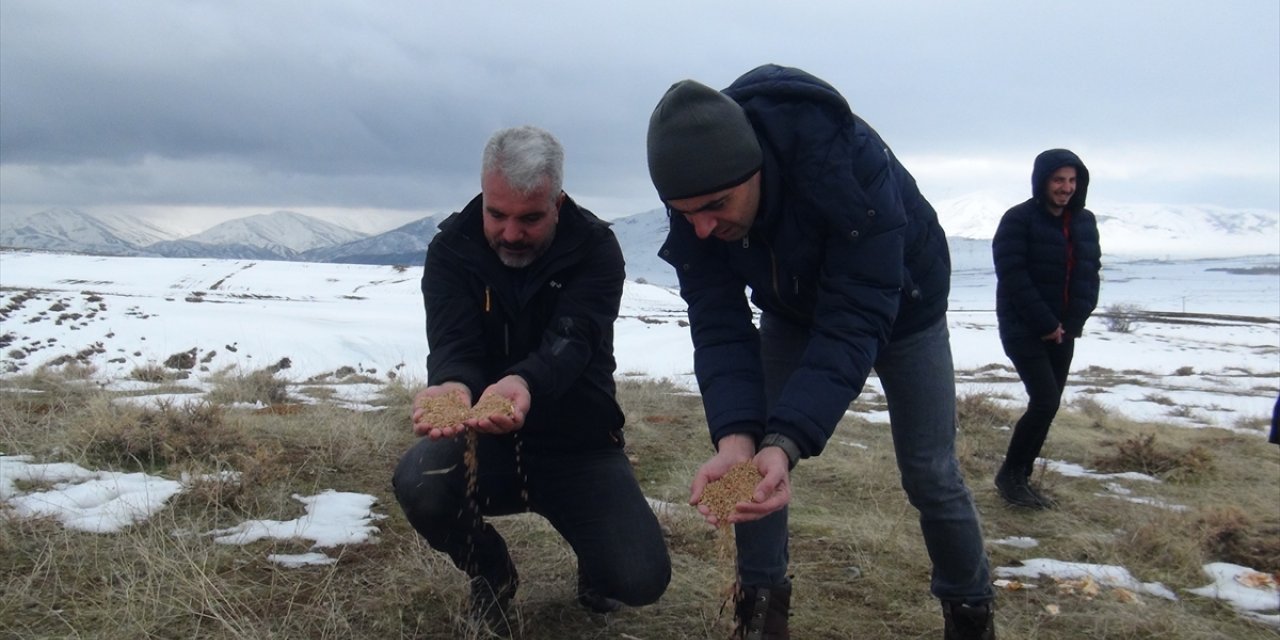 Tatvan'da yaban hayvanları için doğaya yem bırakıldı