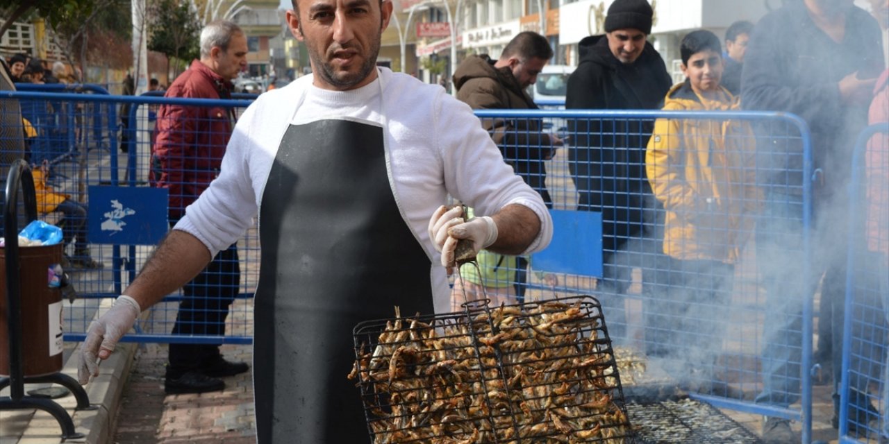 Mardin'de hamsi festivali düzenlendi