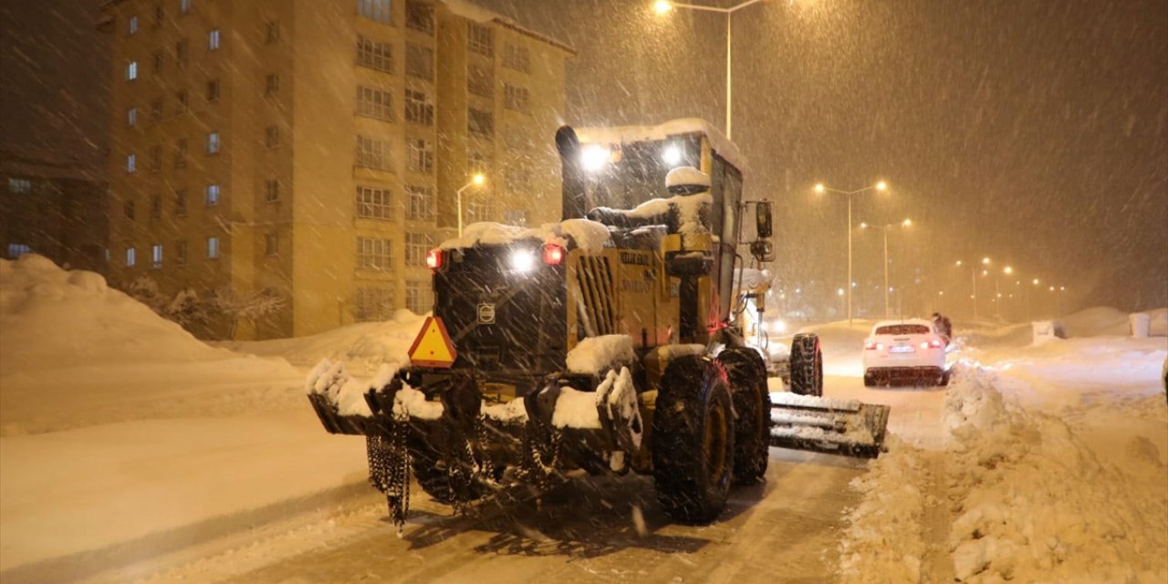 Bitlis'te kar etkili oluyor