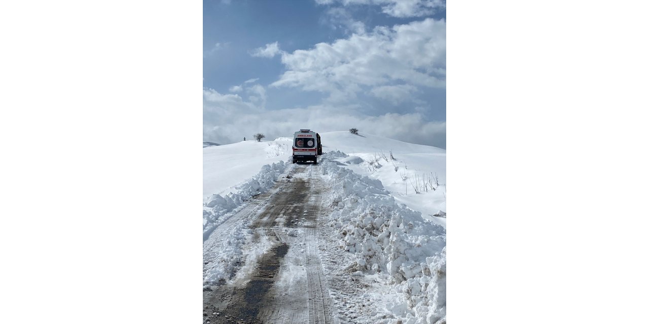 Muş'ta yolu kapanan köylerdeki hastalar, ekiplerin çabasıyla hastaneye ulaştırıldı