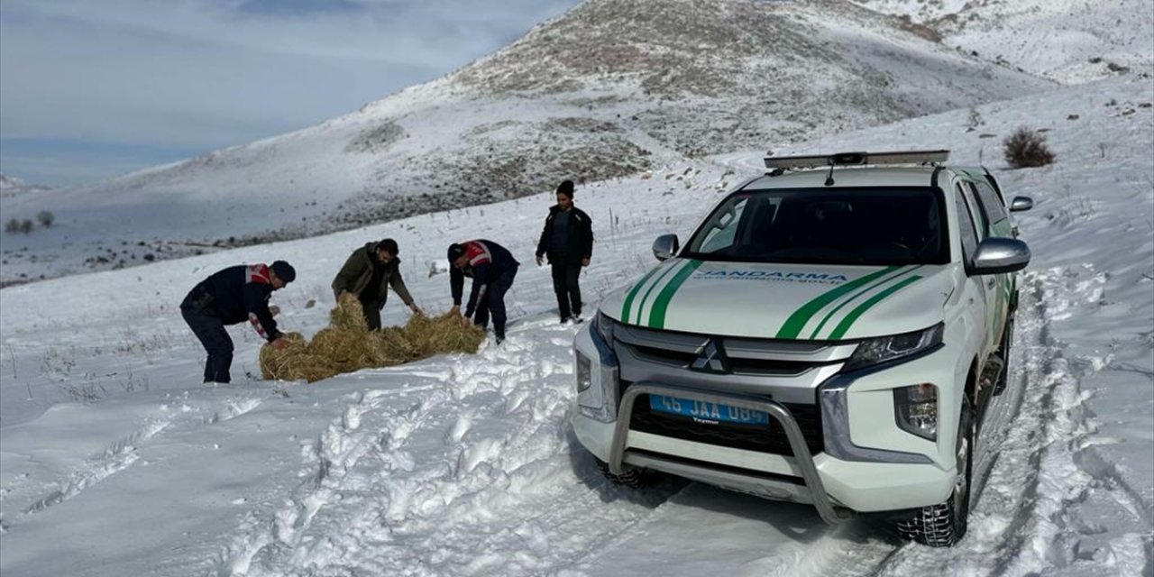 Kahramanmaraş'ta jandarma yaban hayvanları için doğaya yem bıraktı