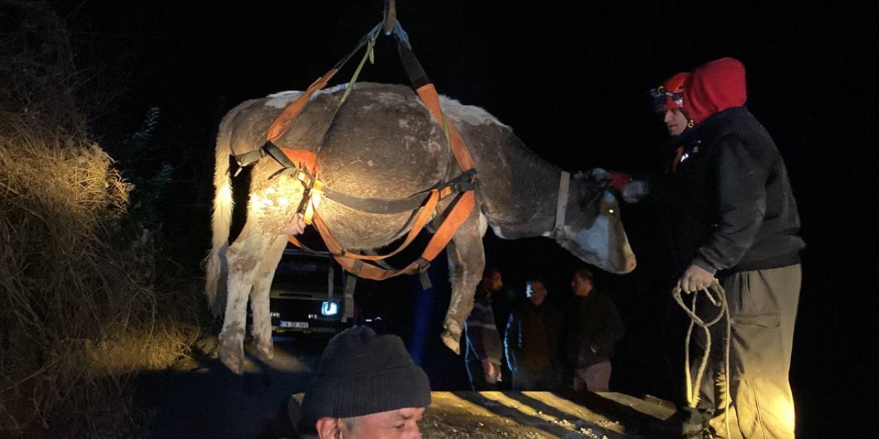 Karabük'te dere yatağına düşen inek vinçle kurtarıldı