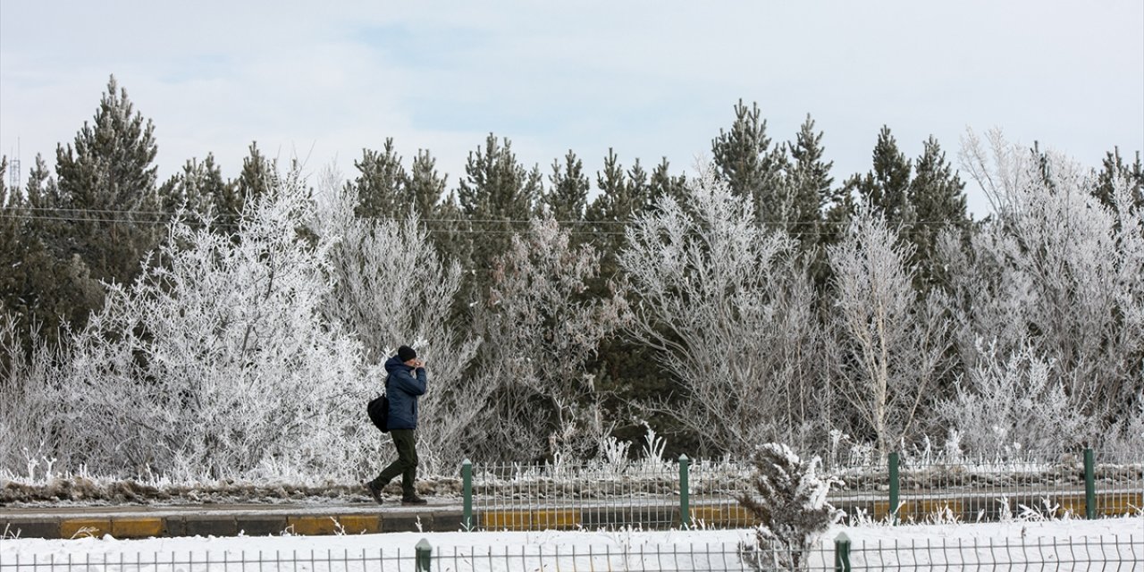 Erzurum, Ardahan, Kars ve Tunceli'de kar, Iğdır'da ise soğuk hava etkili oldu