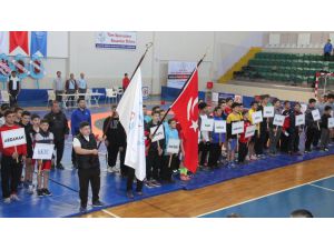 Güreş: Okullar Arası Yıldızlar Türkiye Birinciliği