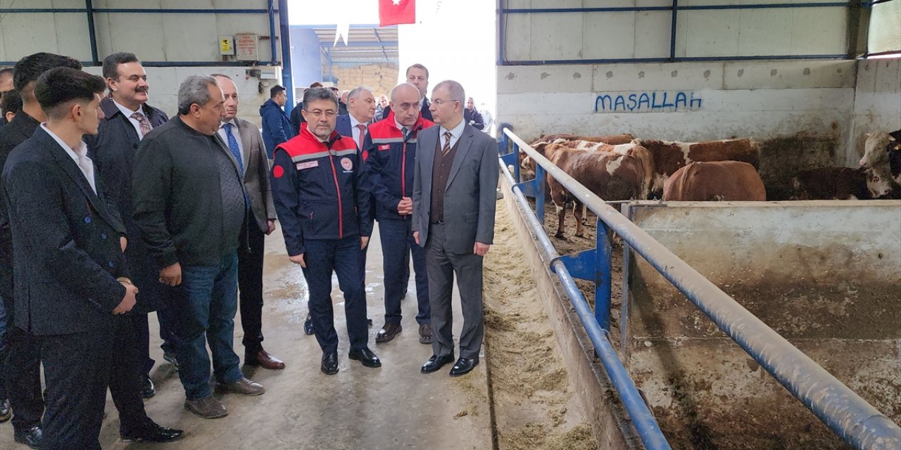Tarım ve Orman Bakanı Yumaklı, Amasya'da konuştu: