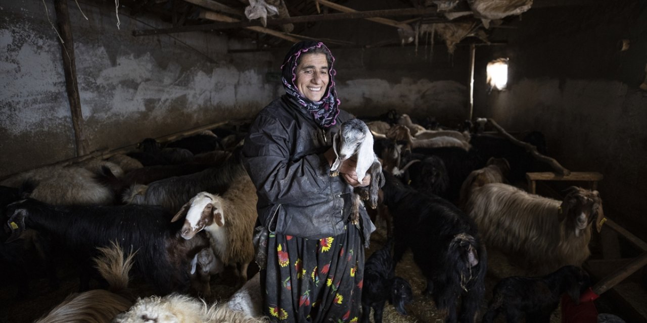 Karla kaplı Tunceli'deki köylüler hayvanları için kışın tüm zorluklarıyla mücadele ediyor