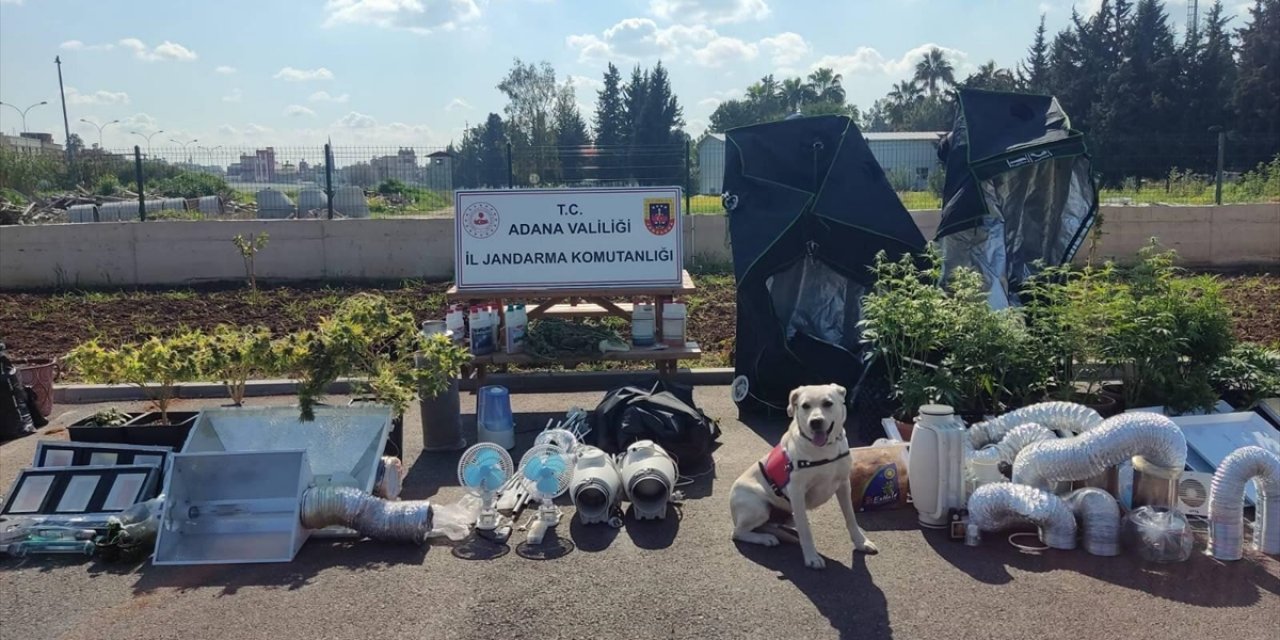 Adana'da iklimlendirme sistemiyle kenevir yetiştiren 5 şüpheli yakalandı