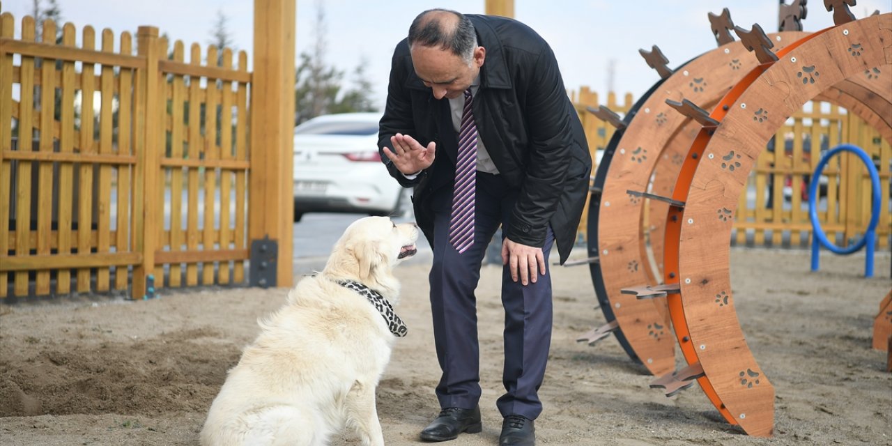 Meksika'nın arama kurtarma köpeği "Proteo"nun adı Kayseri'de yaşatılacak