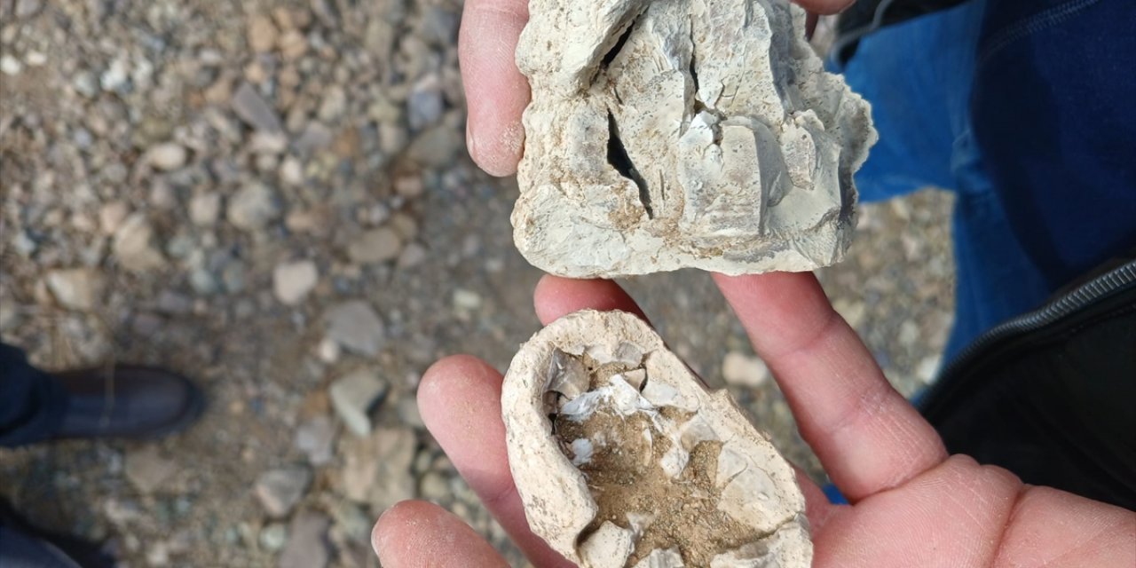 Niğde'de "dinozor fosili" sanılan kalıntılar traverten çıktı